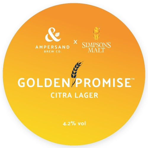 Ampersand Brew Co — Golden Promise Citra Lager